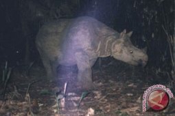 Suaka Margasatwa jadi penangkaran badak bercula satu
