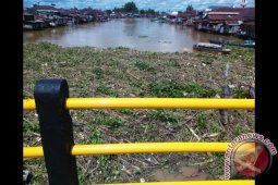 Sungai Martapura Tertutup Sampah