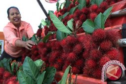 Banjarmasin "Flooded" by Rambutan Fruit