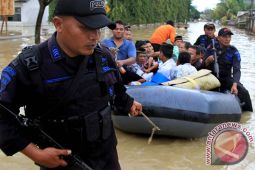 Napi di Tamiang yang dilepaskan diminta kembali