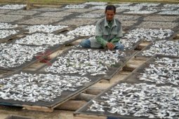 Biaya Operasional Membengkak