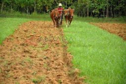 Keluhkan Tingginya Biaya Operasional