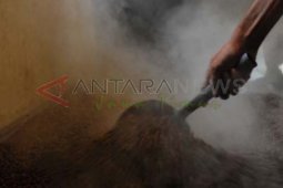 Harga Kopi Ekspor Lebih Tinggi