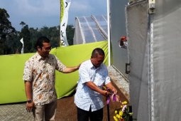 Ewindo Siap Produksi Benih Kentang Berkualitas