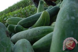 Makanan Yang Bisa Membuat Agar Kelihatan lebih Muda