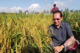 Petani Kapuas Hulu Dapat Pelatihan Metode Hazton