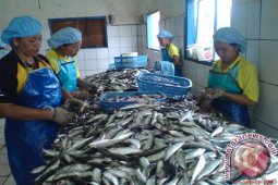 DKP Babel Bidik Pasar Eropa