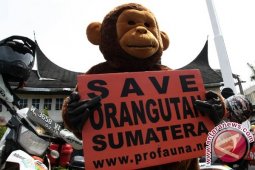 Perdagangan Satwa Liar Kian Marak di Internet