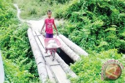 Dibangun 20 Jembatan Batang Kelapa