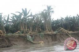 Masyarakat di DAS Mulai Cemas Di Aceh Selatan