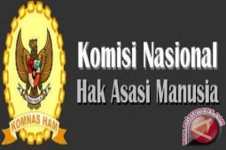Komnas HAM: Penyimpangan Informasi Picu Kerusuhan Tanjungbalai