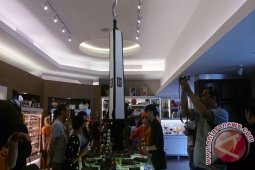 Coklat Kujang setinggi dua meter di Bogor