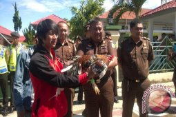 Kejari tetapkan pimpinan Kota Bengkulu tersangka bansos