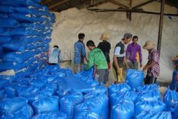 Harga Garam Anjlok