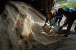 Harga Garam Turun