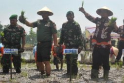 Penanaman Padi Serentak Kabupaten Pasuruan