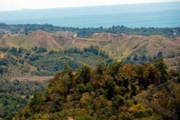 BNPB tanam vegetasi di lahan kritis di Lebak cegah dampak bencana