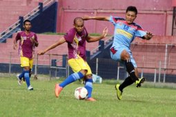 Persik Perbanyak Uji Coba