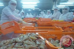 Ekspor Udang Beku Kotabaru Kembali Bangkit