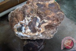 Jenazah penjual akik dibawa ke Bengkulu