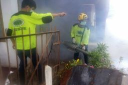 Wawali instruksikan pengasapan wilayah kasus DBD