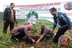 TANAM POHON NANGKADAK