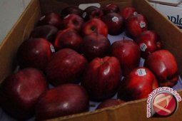 Banjarmasin Safe from Bacteria Apple