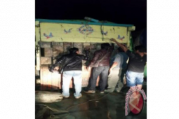Kodim Sanggau Amankan Ratusan Batang Kayu Ilegal