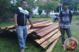 KPHP Mukomuko lelang 53 batang kayu ilegal