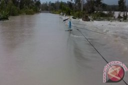 Distributor Pakan Unggas Rugi Puluhan Juta
