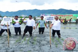 Mentan: Pemerintah Hapus Tender Pupuk Dan Benih