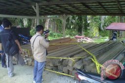 Tim gabungan temukan puluhan batang kayu ilegal
