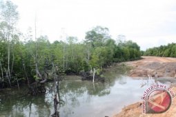 BLH Penajam Data Hutan Mangrove