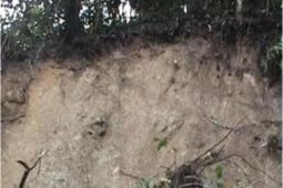 LPMAK belum terima laporan soal longsor Tsinga