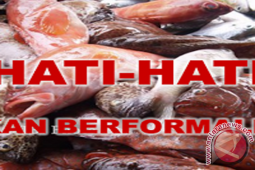 Tanah Bumbu Kalsel Awasi Ikan Berformalin
