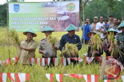DUKUNG KETAHANAN PANGAN NASIONAL