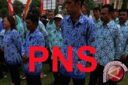 Ratusan tenaga honor fungsional akan dirapel