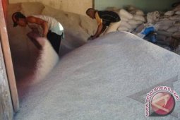 Mafia "Mainkan" Celah Dalam Tata Niaga Beras