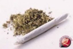 Polisi tangkap anak di bawah umur edarkan ganja