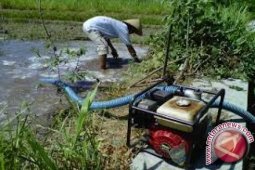 Pemkab Batanghari sediakan 80 pompa air untuk petani