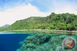 Empat Alasan Menyelam di Gorontalo - 1