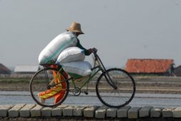 Buruh Angkut Garam