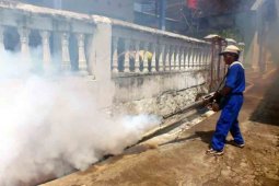 Fogging Basmi Nyamuk DB