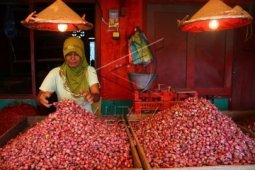 Kekurangan Pasokan Bawang Merah