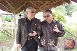 Mantan Wapres RI Kunjungi Hutan Pelawan