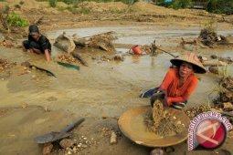 Polda Jambi bentuk tim Satgas berantas Peti