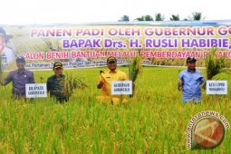 Gubernur: Kenaikan Harga Beras Tidak Masuk Akal