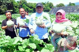 Bupati Aceh Selatan Minta Warga Galakkan Tanam Melon