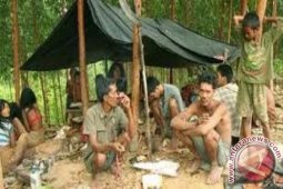 Status kematian 11 orang rimba bukan KLB