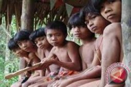 Kemensos akui orang rimba Jambi meninggal kelaparan